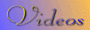 Sandra Manleys' Vocal Training Videos